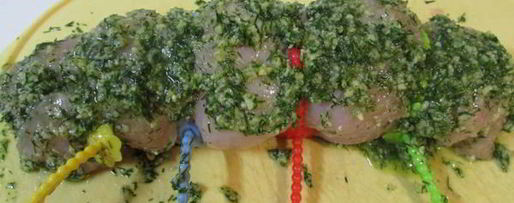 Шаг 8: филе индейки с соусом песто из укропа