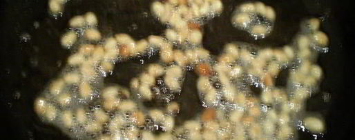 Шаг 2: куриного филе с соусом песто