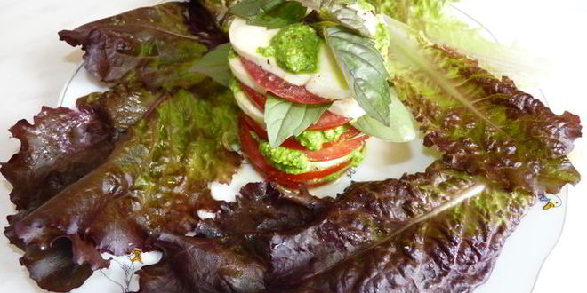 Рецепт моцареллы с помидорами под соусом песто