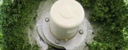 Шаг 2: пасты с соусом песто из капусты кале и грецких орехов