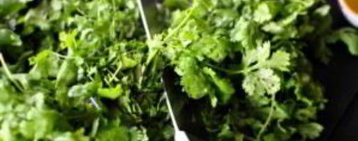 Шаг 2: песто с кинзой