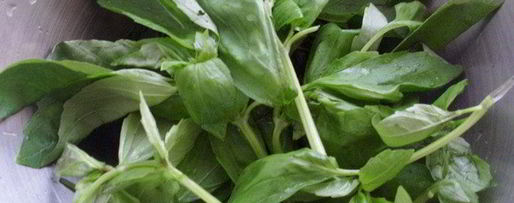 Шаг 2: песто с крапивой