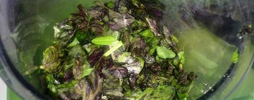 Шаг 1: рисового песто