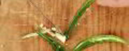 Шаг 3: дипов для чипсов