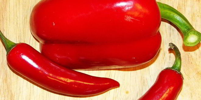 Рецепт разноцветной сальсы с брынзой