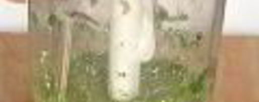 Шаг 5: соусов сальса круда, сальса роха, сальса верде