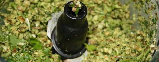 Шаг 1: сациви с куриными грудками