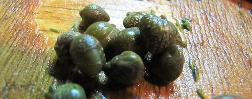 Шаг 4: соуса тартар с солеными огурчиками