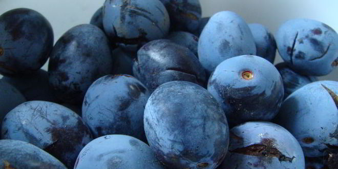 Рецепт грузинского соуса ткемали