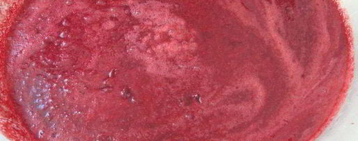 Шаг 1: грузинского соуса ткемали