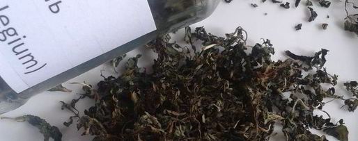 Шаг 3: сливового соуса ткемали