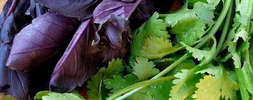 Шаг 3: соуса из слив ткемали к мясу