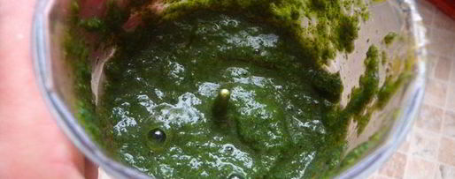 Шаг 4: соуса сливового ткемали