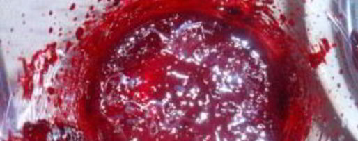 Шаг 1: соуса ткемали из красной алычи