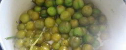 Шаг 1: соуса ткемали из зеленых слив