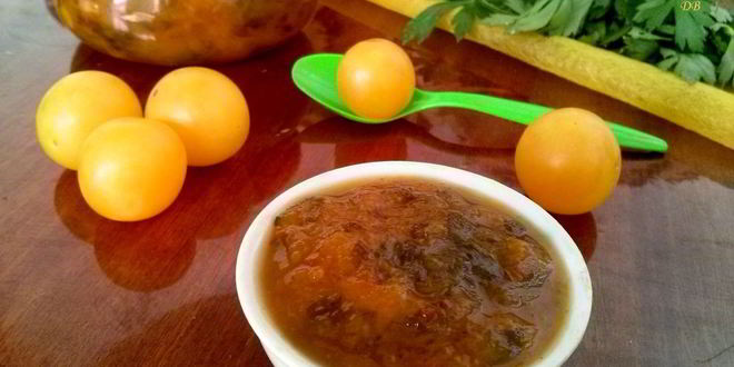 Рецепт соуса ткемали из желтой алычи