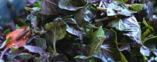 Шаг 3: соуса ткемали классический