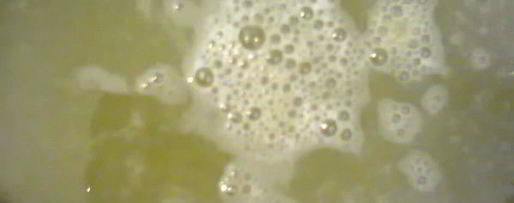 Шаг 3: соуса зеленого ткемали