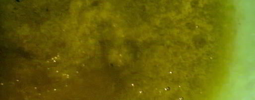 Шаг 5: соуса зеленого ткемали