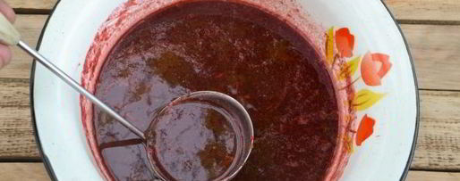 Шаг 8: ткемали из красной смородины