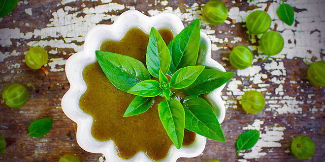 Рецепт ткемали из крыжовника