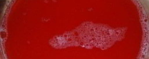 Шаг 2: ткемали из слив на зиму