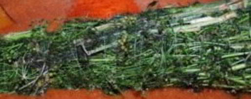 Шаг 8: ткемали из слив на зиму