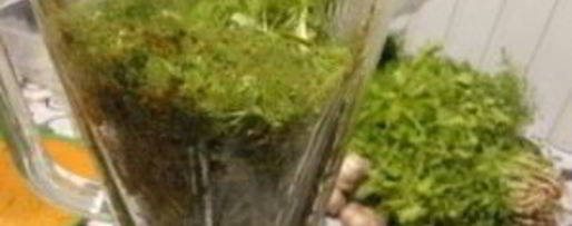 Шаг 9: ткемали из слив на зиму