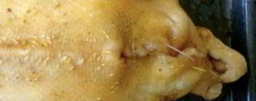 Шаг 9: утки в соусе ткемали с медом