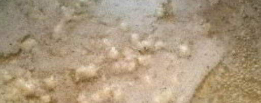 Шаг 1: сырного соуса из плавленого сыра