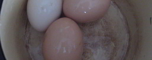 Шаг 10: борща холодного с креветками