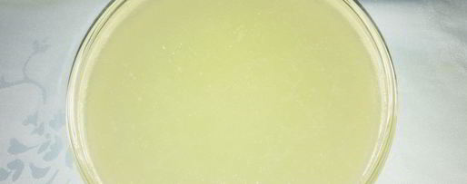 Шаг 1: красного борща из индейки