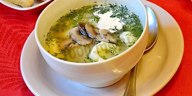 Рецепт грибного супа на мясном бульоне