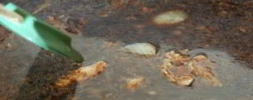 Шаг 4: куриного бульона по-французски