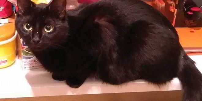 Рецепт куриного бульона с капустником