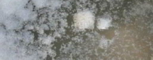 Шаг 2: мясного бульона