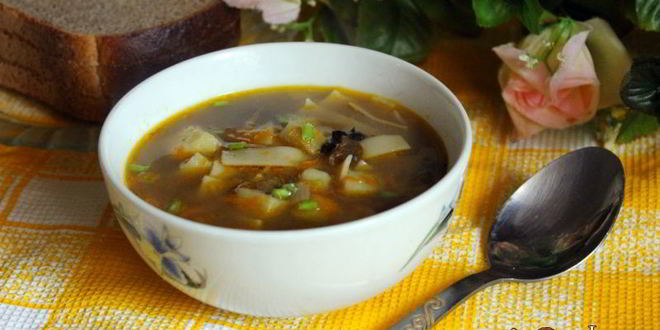Рецепт супа с сушеными грибами и лапшой на курином бульоне