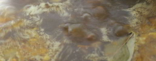 Шаг 7: супа с сушеными грибами и лапшой на курином бульоне