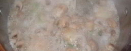 Шаг 12: весеннего бульона с грибами