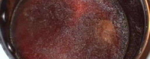 Шаг 14: весеннего бульона с грибами