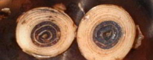 Шаг 6: весеннего бульона с грибами