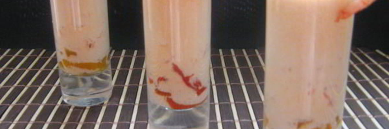 Рецепт Фуршетного креветочного супа