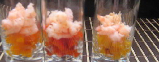 Шаг 7: фуршетного креветочного супа