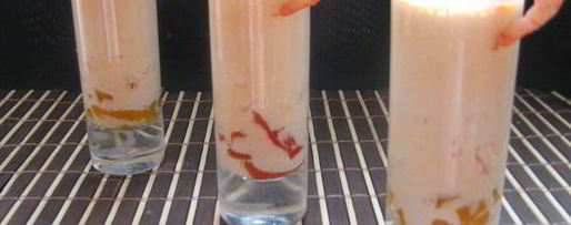 Шаг 8: фуршетного креветочного супа