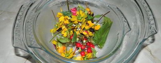 Шаг 1: арбузного гаспачо в ледяной тарелке