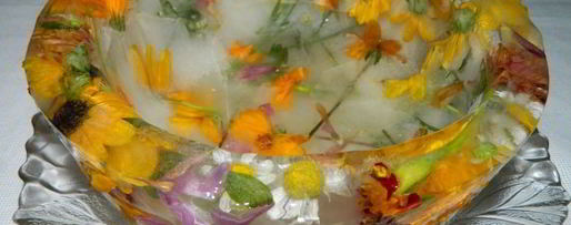 Шаг 16: арбузного гаспачо в ледяной тарелке