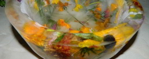 Шаг 5: арбузного гаспачо в ледяной тарелке