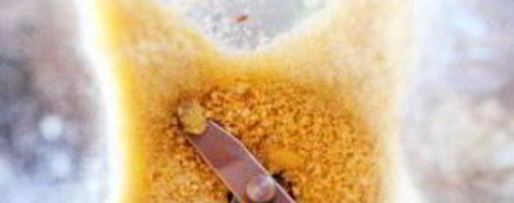 Шаг 1: гаспачо с крабовым салатом