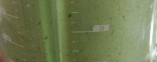 Шаг 3: зеленого гаспачо для сыроедов