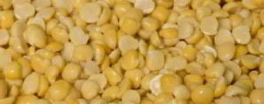 Шаг 12: французского горохового супа